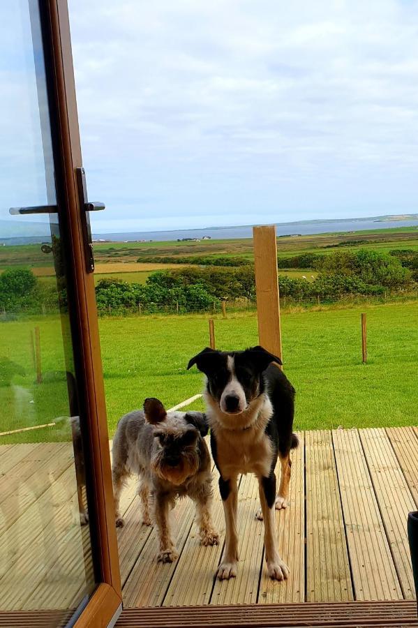 Lilly'S Lodges Orkney Butterfly Lodge Finstown Εξωτερικό φωτογραφία